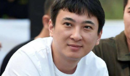 娱乐圈吃瓜王阳,娱乐圈吃瓜王背后的故事与真相